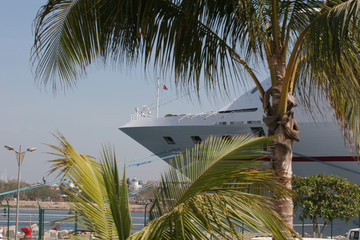 ship at tropical port
