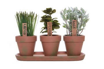 Fototapeta premium three herbs
