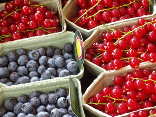 berries