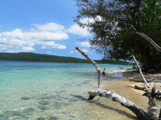Fototapeta na wymiar Plaża Vanuatu