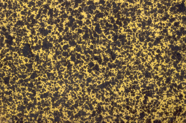 texture. dettaglio di antica copertina di libro.