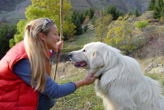 berg&egrave;re et son patou