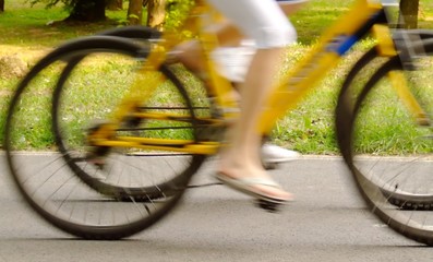 bicycle