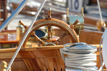 timone dettaglio © frog