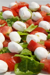 tomate mozarella