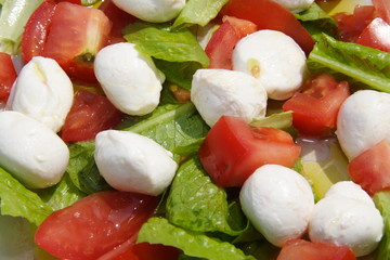 tomate mozarella