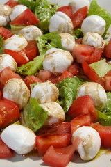 tomate mozarella