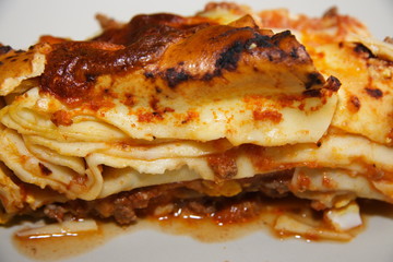 lasagne