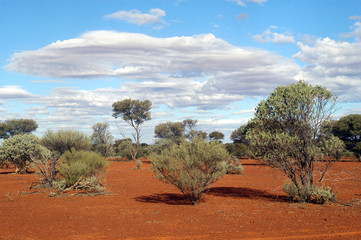 bush australien