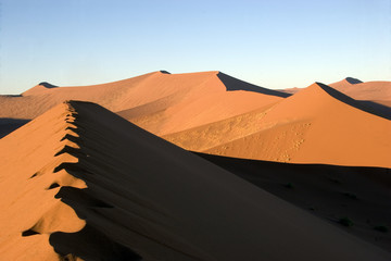 Fototapeta na wymiar désert de namib - namibie