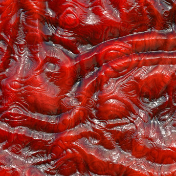 open flesh