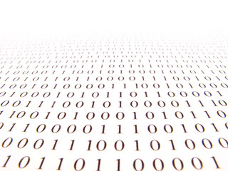 binary number
