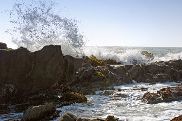 waves hitting the rocks