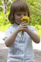 summer flowers