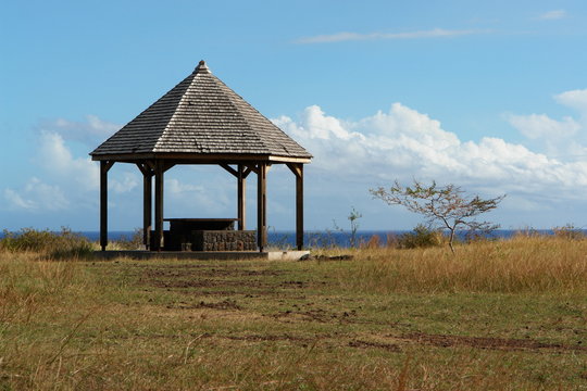 pique nique : kiosque dans environnement sauvage