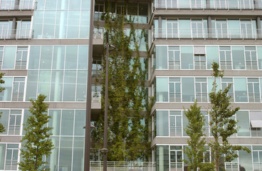 arbres devant l'immeuble