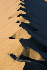 désert de namib - namibie