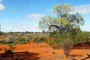 désert australien