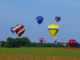 sky full of hot air balloons