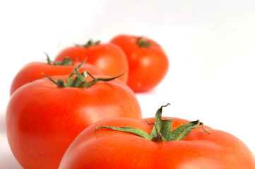 tomates alignées