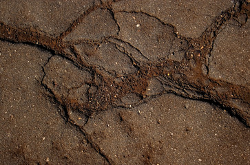 grunge asphalt