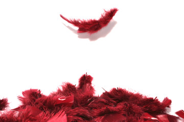 plumes rouges 02