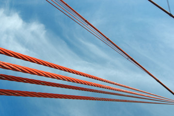 cables of the bridge