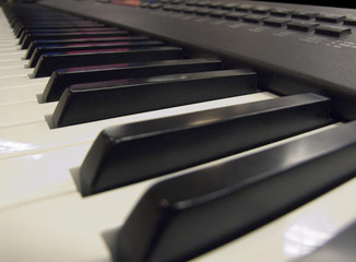 keyboard / music / piano