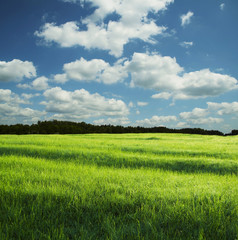 field and clouds