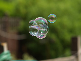 bubbles floating