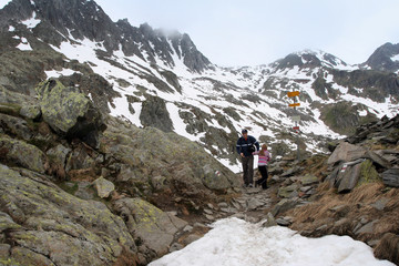 Fototapeta na wymiar swiss alps in juin, 2400m