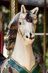 carousel horse