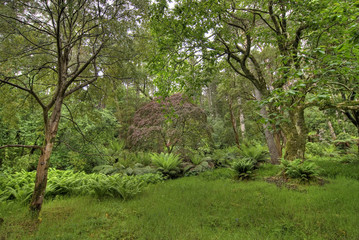 jardin extraordinaire