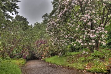 jardin extraordinaire