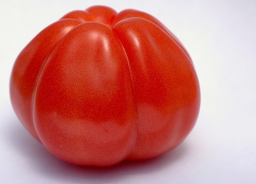 tomate 4