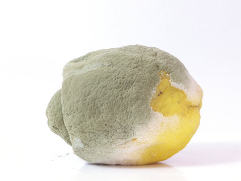 limone marcio