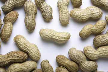 peanut background 2