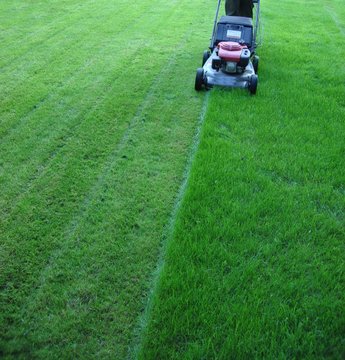 mowing