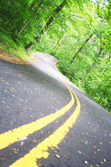 road winding through woods