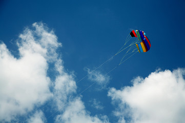 kite