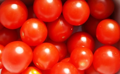 tomates cerises