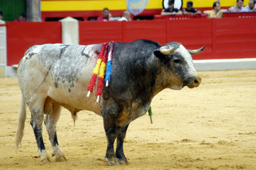 toro-92