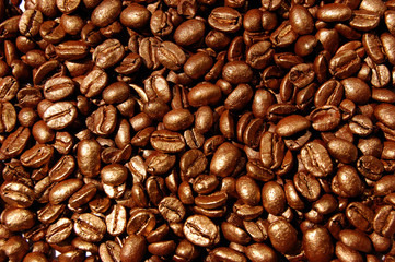 coffee-beans