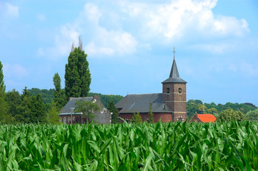 Fototapeta na wymiar church in corn field