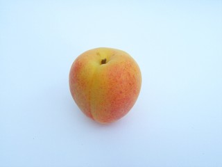 aprikose 01