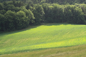 Obraz premium highland