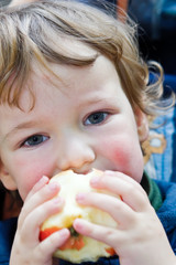 boy eats an apple