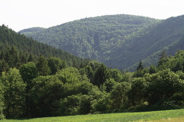 Fototapeta premium highland