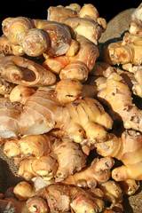 fresh ginger