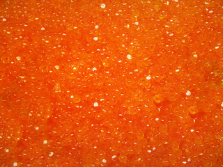 red salty roe